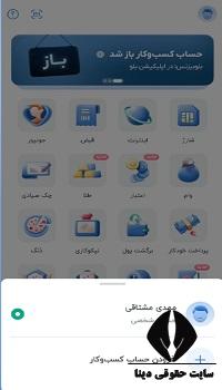 بلو بیزینس